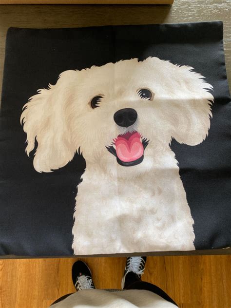 Custom Pet Pillow Ilovepaws