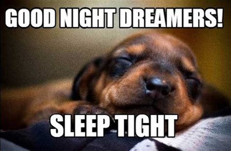 Top 76 Good Night Memes Funny Good Night Sleep Well It Memes