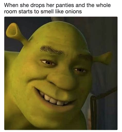 The 100 Funniest Shrek Jokes In The History Of Humanity