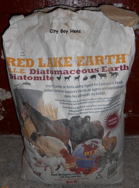 Moreover, diatomaceous earth helps get rid of internal parasites in pets. Making A Dust Bath For Your Chickens | Dust bath for ...