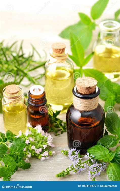 Fresh Herbs And Massage Oils On The Wooden Board Stock Image Image Of Cosmetic Rosemary