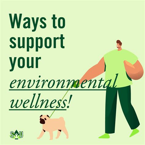 Ways To Support Your Environmental Wellness — Sheridan Student Union