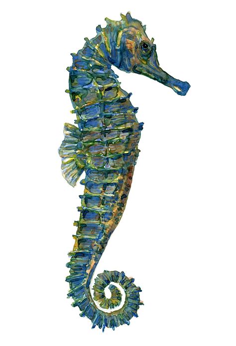 Watercolour Of A Green Seahorse Painting By Frits Ahlefeldt Seahorse