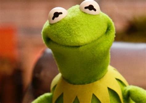 Kermit Smiling
