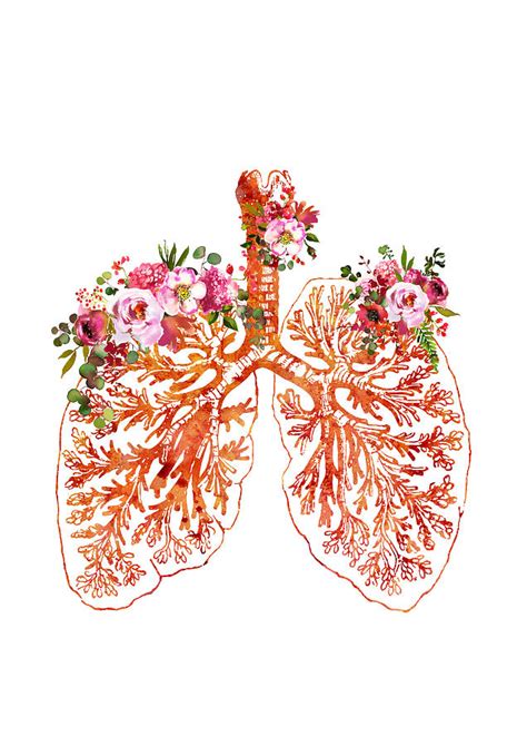 Anatomical Lungs Digital Art By Erzebet S Fine Art America