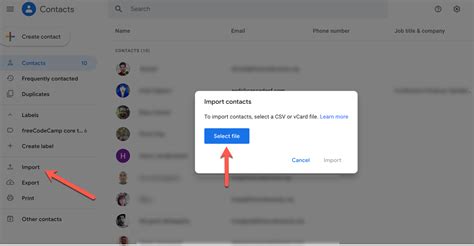 Where Are My Contacts In Gmail Find And Access Them Fast