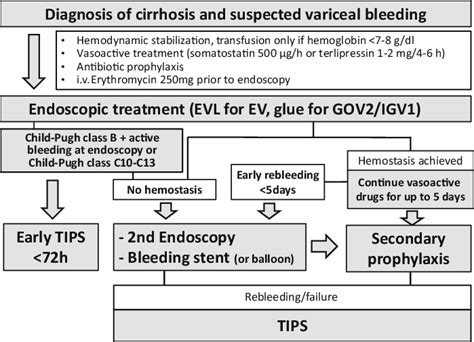 Flow Chart For Treatment Of Acute Variceal Bleeding Ev Esophageal