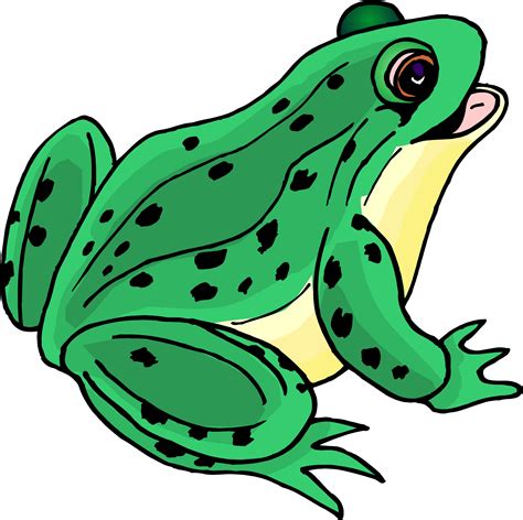 Cartoon Frogs Images Clipart Best