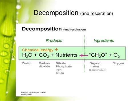 Organic Matter Decomposition