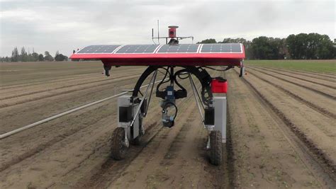 Robotics To Play Major Role In Australias Vegetable Production The