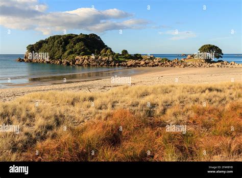 Mount Maunganui Beach New Zealand Golden Colored Sand Grasses Grow In