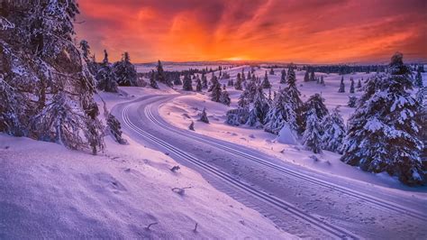 Wallpaper Norway Winter Snow Road Trees Sunset 1920x1200 Hd