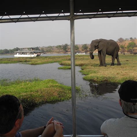 Chobe Chilwero Chobe National Park Botswana Expert Africa