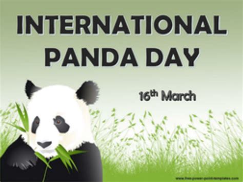 Happy International Panda Day Panda Panda Panda Panda Panda Wooo