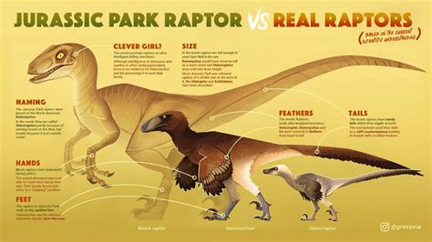 The Awesome Guide On Velociraptor Vs Deinonychus