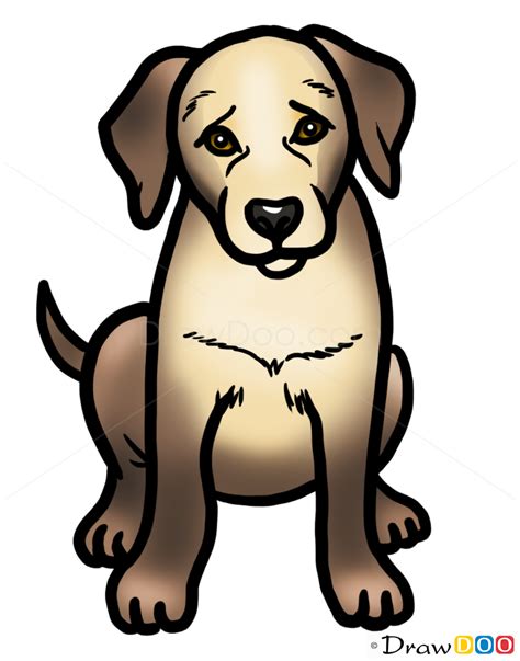 Maybe you would like to learn more about one of these? How to draw a Puppy, Dogs and Puppies easy drawing