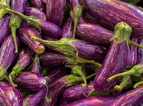 10 Types of Eggplant to Know Love Grill and Sauté With Bon Appétit