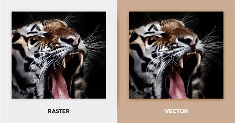 What Is Difference Between Vector And Raster Graphics