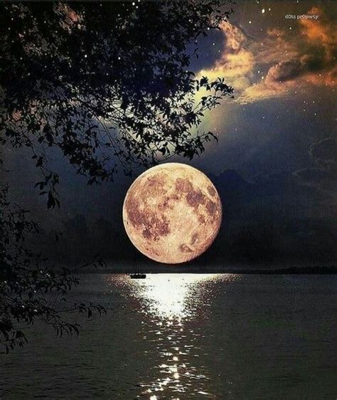 Check spelling or type a new query. Pin von Ingrid Triebl auf Gute Nacht | Gute nacht, Remise, See