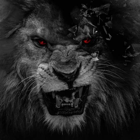 Red And Black Lion Wallpapers Wallpaper Cave