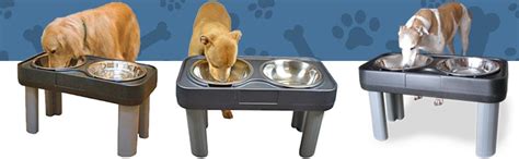 Pet Supplies Our Pets Big Dog Feeder Elevated Dog Bowls 16 Inch