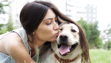 Study Women Adore Their Pets Could Take Or Leave Their Husbands