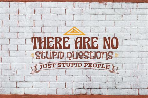 There Are No Stupid Questions Graphic By Olivetype Creative Fabrica