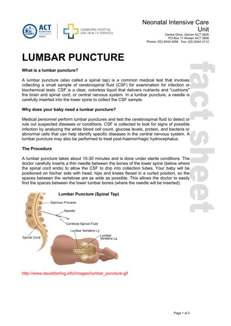 Lumbar Puncture Diagnostic Procedure Template