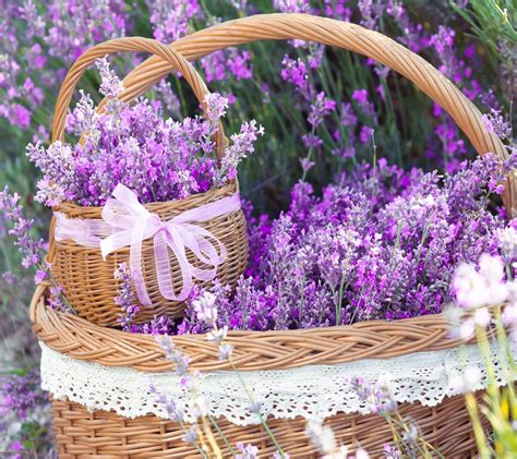 1920x1080 Resolution Two Round Wicker Brown Baskets Flowers