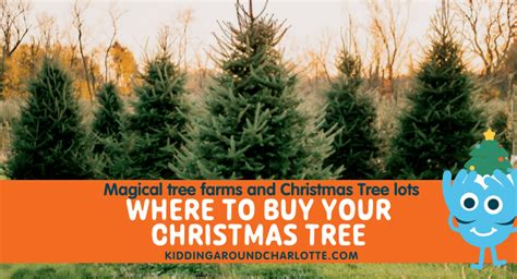 Fresh Pine And Memories 15 Christmas Tree Farms In Charlotte Nc