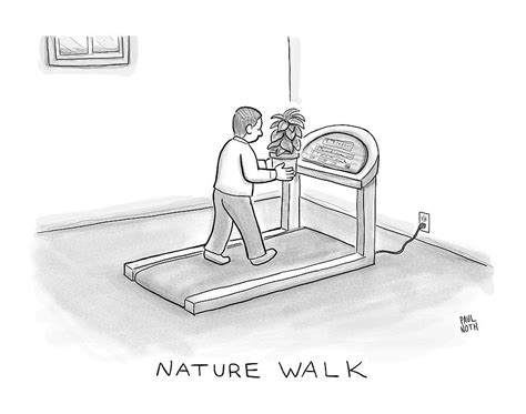 New Yorker November 7th 2016 Drawing By Paul Noth Fine Art America
