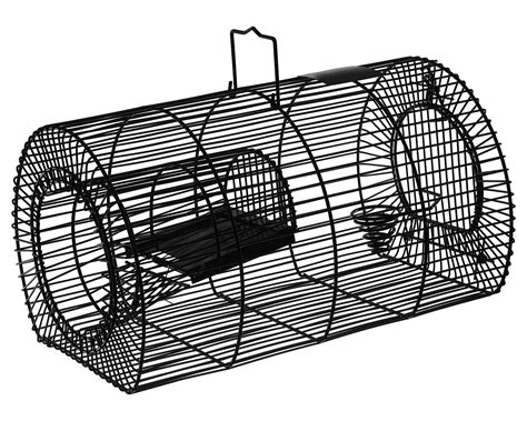 Piège à Rat En Métal Noir • Nasse à Rat Contre Les Rats Leroy Merlin