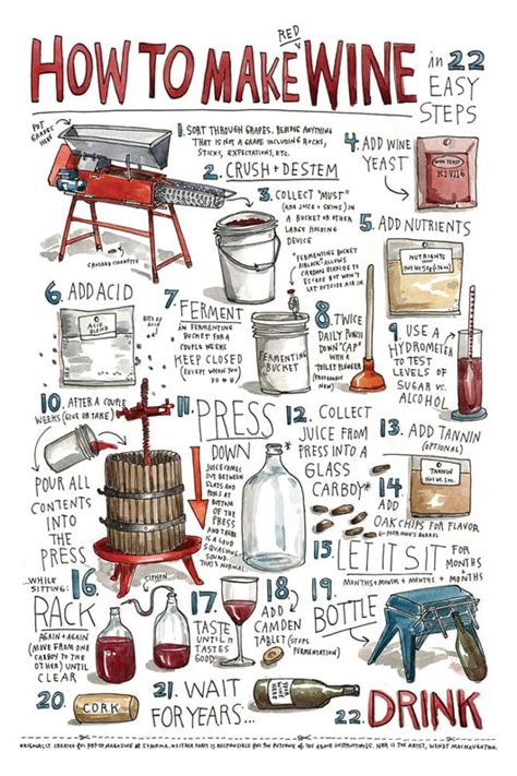 How To Make Wine In 22 Easy Steps Jacksonville Wine Guide