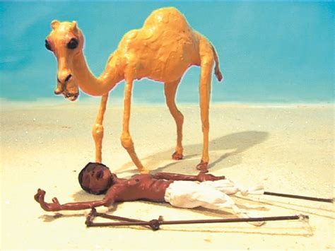 How Much Water Do A Camel Drink - They are formed inside bone marrow