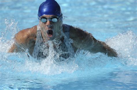 A Swimmers Blog The Fastest Swimmers In The World