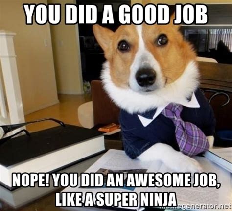 Share the best gifs now >>>. You did a good job Nope! you did an awesome job, like a super ninja - Dog Lawyer | Meme Generator