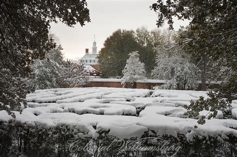 Snowy Morning In The Governors Palace Garden Photo By Tom Green