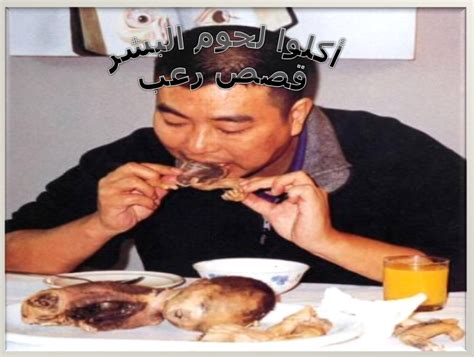 الصين اكل بالصور انطلاق مهرجان أكل لحوم الكلاب فى الصين اليوم السابع الصين وكوريا