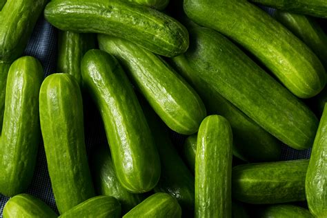 Guide To Different Types Of Cucumbers Nature Fresh Farms