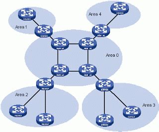 OSPF Open Shortest Path First Ciendikia Nela S Blog