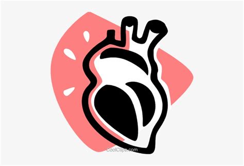 Human Heart Royalty Free Vector Clip Art Illustration Human Heart