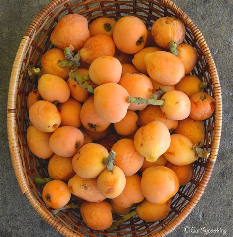 They are dark green and glossy on the upper surface facciola, stephen. Earthycooking : Organic Loquat Jam