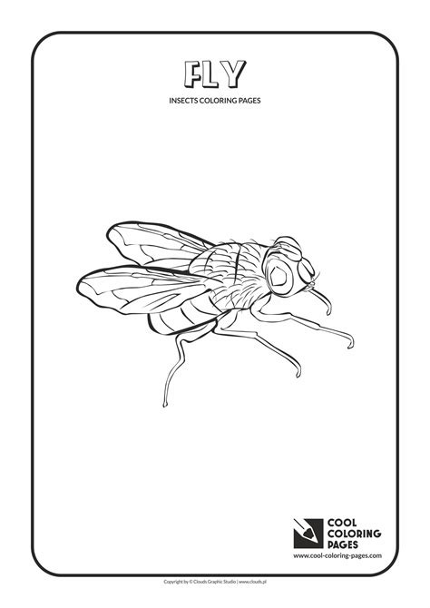 Cool Coloring Pages Fly Coloring Page Cool Coloring Pages Free Educational Coloring Pages
