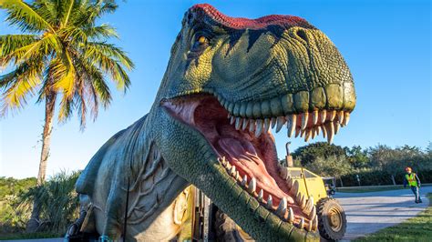 Dinosaurs Arrive At Zoomiami The Florida Villager