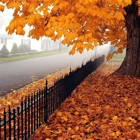 10 Reasons Why Autumn Is My Favorite Season