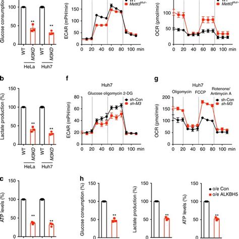 Targeting M⁶a Of Pdk4 By Dm⁶acrispr Re Programs Metabolic Of Cancer