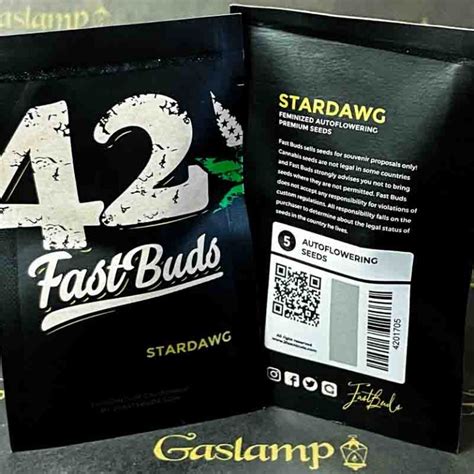 Fast Buds Stardawg 5 Feminized Autoflower Seeds Gaslamp Seeds