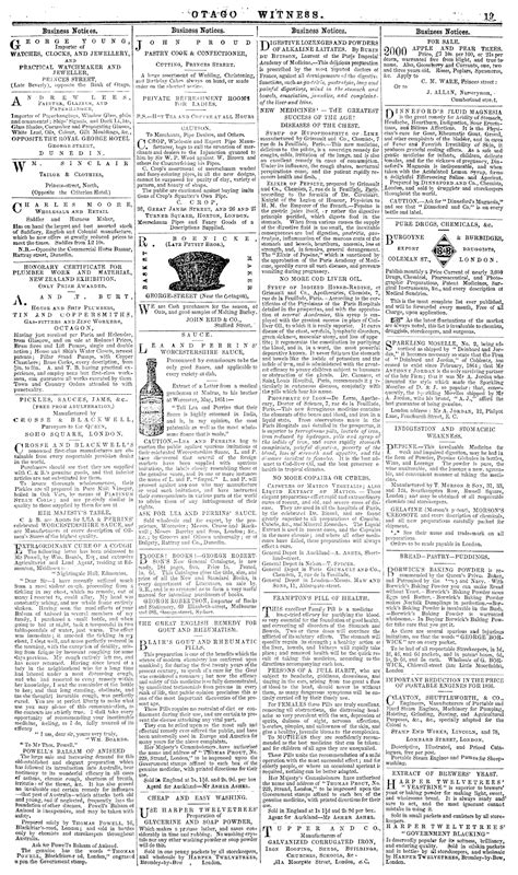 papers past newspapers otago witness 23 june 1866 page 19