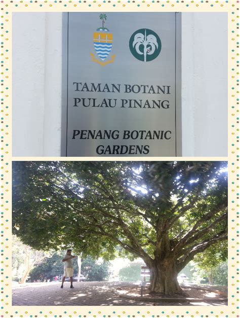 Taman botani pulau pinang biasanya hanya dipanggil botanic gardens oleh pulau pulau pinang. NUR QASEH: Taman Botani, Pulau Pinang