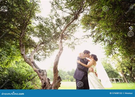 novia y novio kissing en el parque foto de archivo imagen de pista flores 57608132